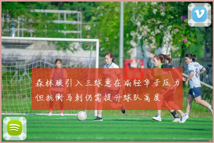 森林狼引入三球意在减轻华子压力但抗衡马刺仍需提升球队高度