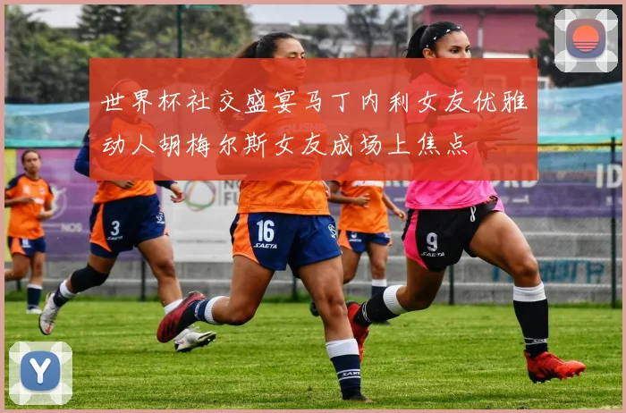 世界杯社交盛宴马丁内利女友优雅动人胡梅尔斯女友成场上焦点