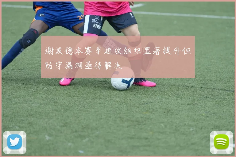 谢泼德本赛季进攻组织显著提升但防守漏洞亟待解决