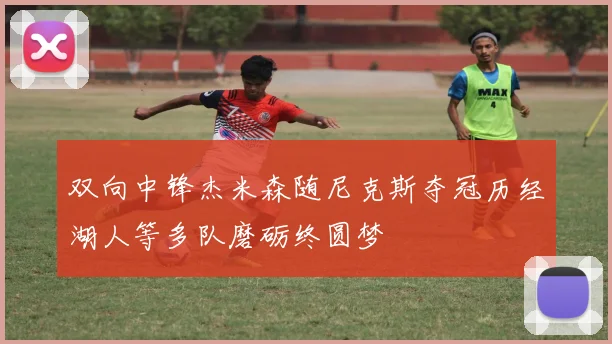 双向中锋杰米森随尼克斯夺冠历经湖人等多队磨砺终圆梦